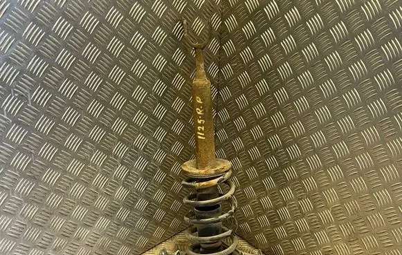 Volkswagen PASSAT B5 Front shock absorber/damper