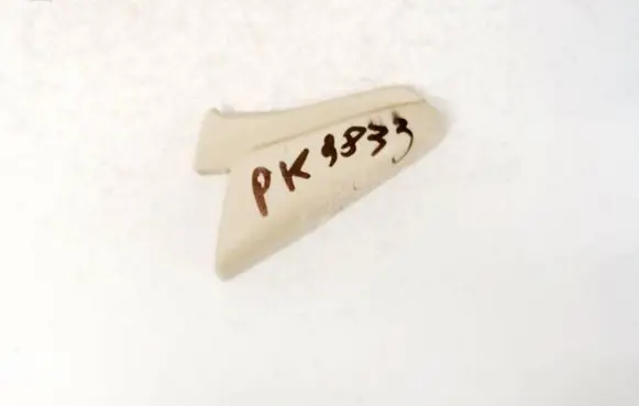 Lexus IS 220D-250-350 Other interior part
