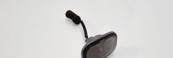 KIA Carnival Front door interior light 