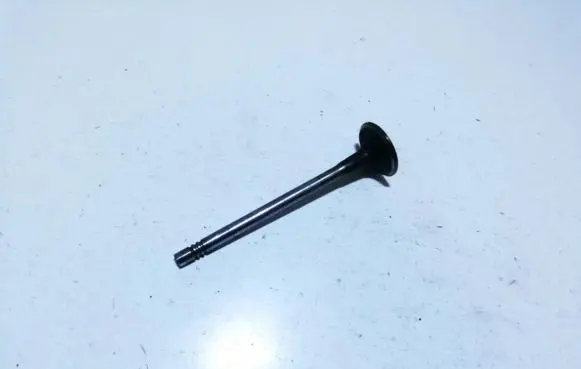 Peugeot 307 Valve 