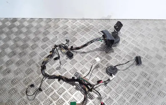 Ford Fiesta Front door wiring loom 14A584 H2BT