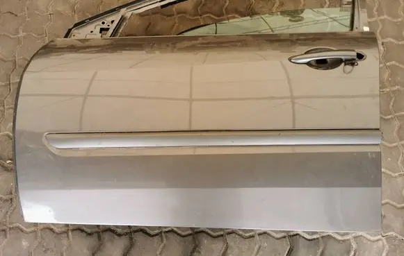 Renault Laguna III Front door 801110002R