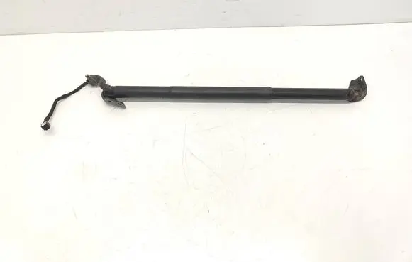 Nissan Murano Z52 Tailgate/trunk strut/damper 905615AA1A
