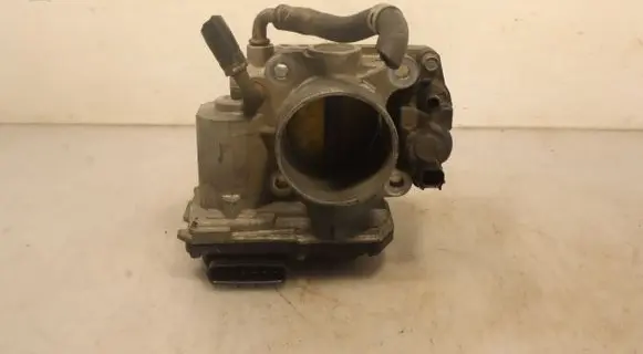 Throttle body valve