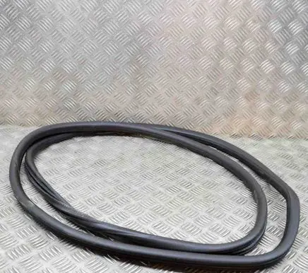 Porsche Cayenne (9Y0 9Y3) Rubber seal front coupe door 7P0867365H