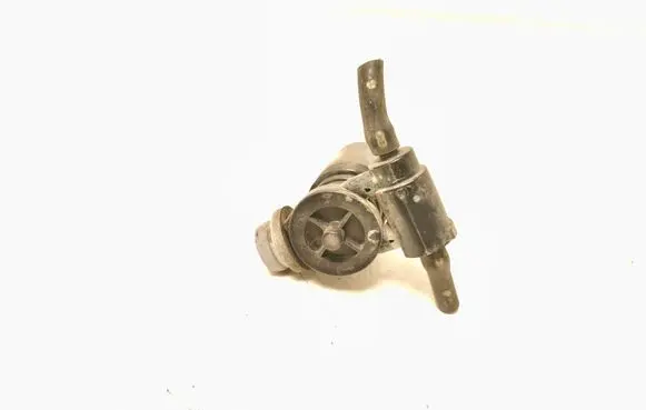 Land Rover Range Rover Sport L320 Windscreen/windshield washer pump 1011284