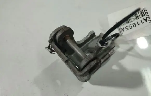 Renault Megane III Rear door lower hinge 