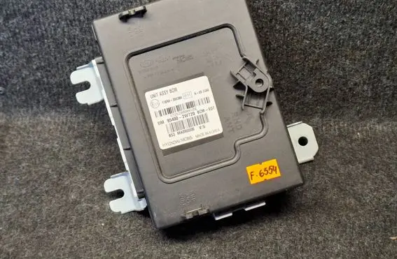 Hyundai Santa Fe Other control units/modules 954002W720 116RA000386