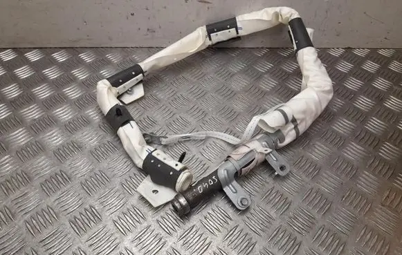 Tesla Model X Roof airbag 103675600E