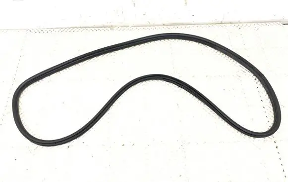 BMW 3 F30 F35 F31 Rubber seal front door (on door) 7258312