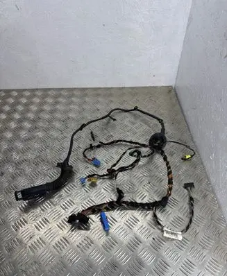 Volkswagen Golf Sportsvan Front door wiring loom 517971120CF