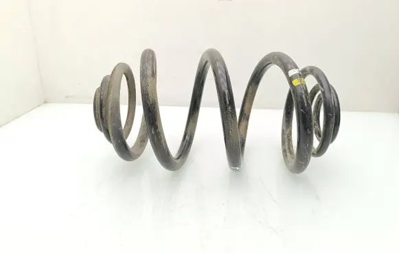 Renault Trafic III (X82) Rear coil spring