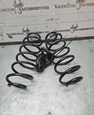Rear coil spring