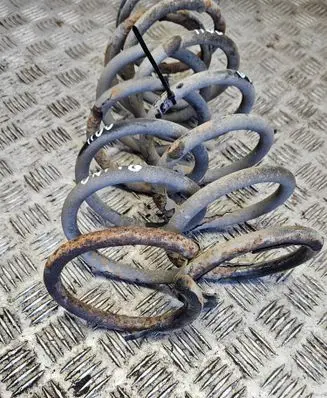 Rear coil spring