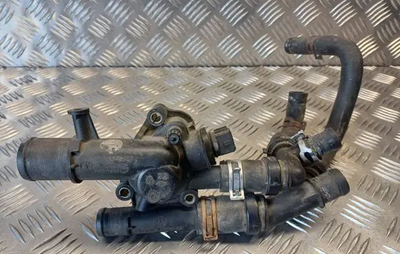 Thermostat/thermostat housing