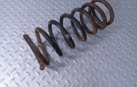 Rear coil spring