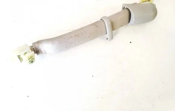 Chevrolet Epica Rear interior roof grab handle