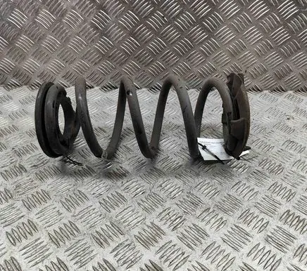 Tesla Model 3 Rear coil spring 104447201E