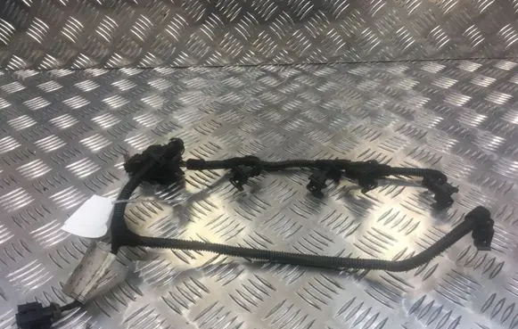 Opel Zafira B Fuel injector wires 24467251
