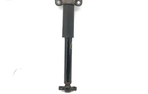 Ford Edge II Rear shock absorber/damper 