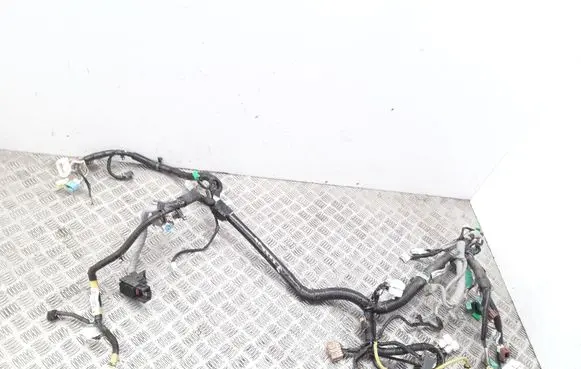 Honda FR-V Panel wiring 32117SJHG210 32117SJH