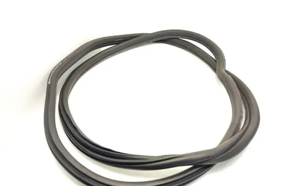 BMW X3 G01 Front door rubber seal 7393423