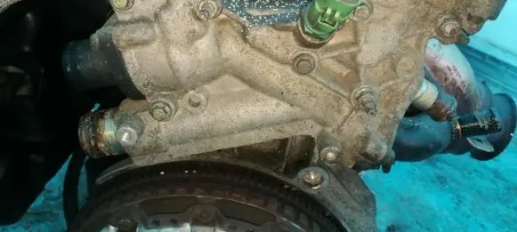 Citroen Xsara Picasso Engine coolant pipe/hose