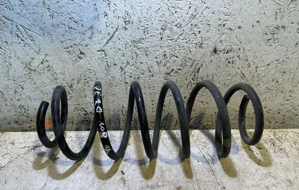 Rear coil spring