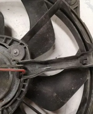 Citroen C4 I Electric radiator cooling fan 300000801