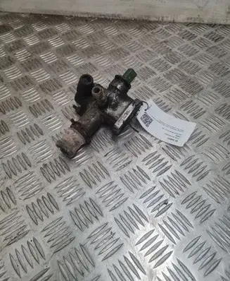 EGR thermostat