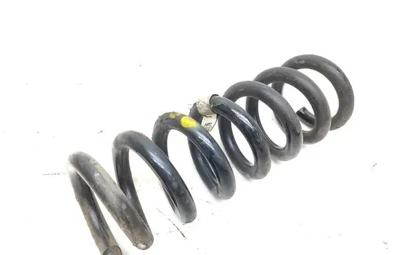 Rear coil spring