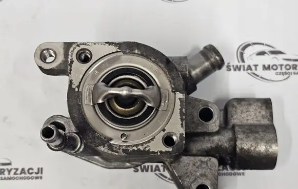 Thermostat/thermostat housing