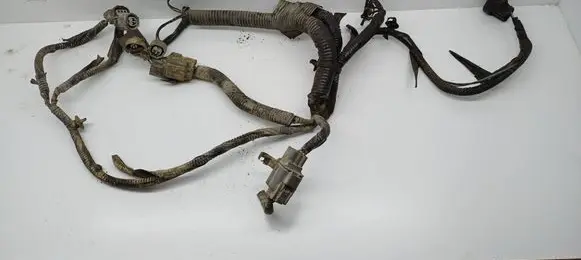 Honda Accord Headlight/headlamp wiring loom/harness 