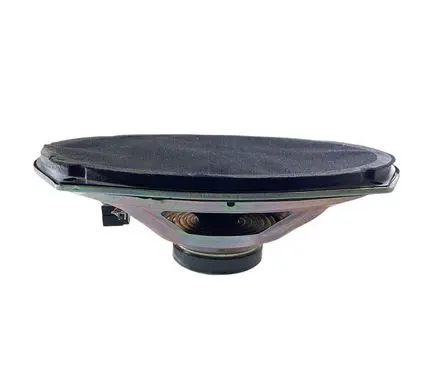 Dodge Charger Front door speaker 05091019AB