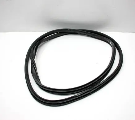 Honda Civic X Rubber seal rear door 
