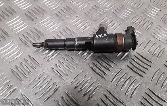 Citroen C3 Pluriel Fuel injector 0445110252