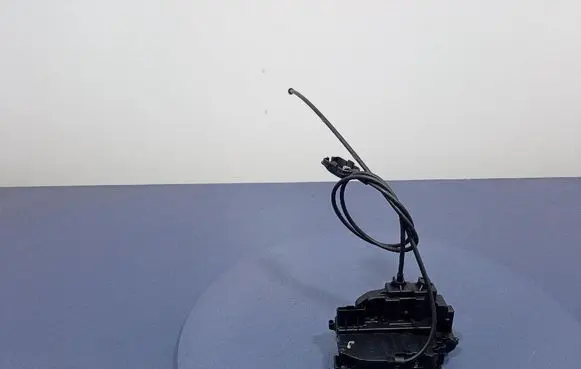Renault Kangoo II Rear door lock 8200542358