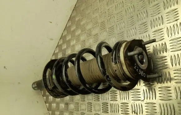 Front shock absorber with coil spring