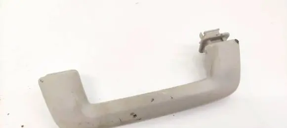 Ford Grand C-MAX Front interior roof grab handle