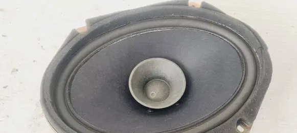 Front door high frequency speaker