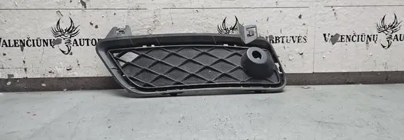 BMW X3 F25 Front bumper lower grill 7249595