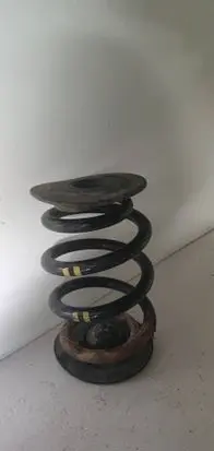 Rear coil spring