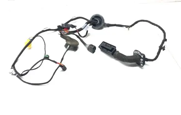 Front door wiring loom