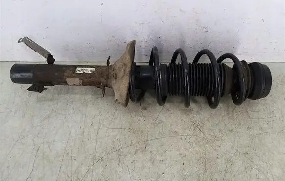 Front shock absorber with coil spring