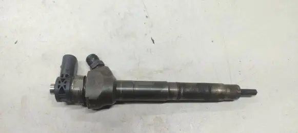Volkswagen PASSAT B7 Fuel injector 0445110369