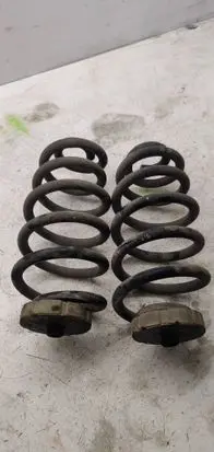Rear coil spring
