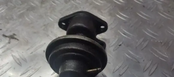 Renault Laguna I EGR valve 7700104195 nenusttyta
