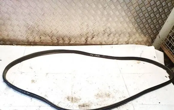 Renault Zoe Rubber seal front coupe door 
