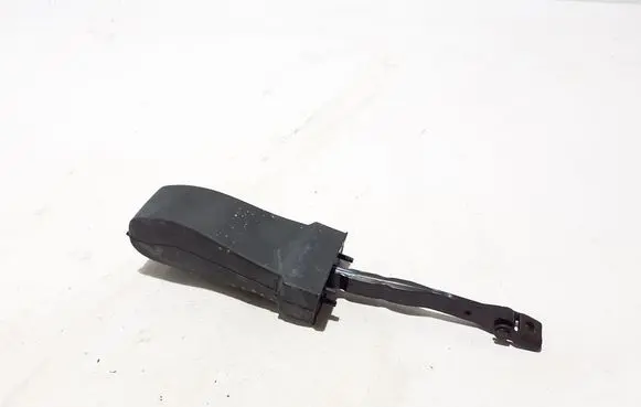 Mercedes-Benz EQS V297 Rear door check strap stopper A2977302200