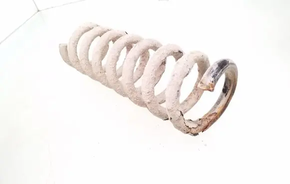 Rear coil spring